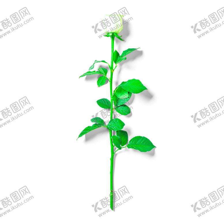 编号：21745709241932011791【酷图网】源文件下载-浪漫素材