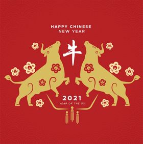 编号：69210409231709387312【酷图网】源文件下载-牛年  新年快乐 海报