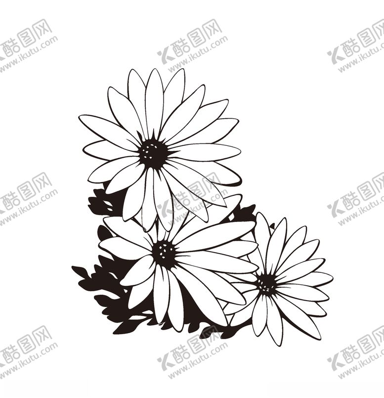 编号：48908605121635494943【酷图网】源文件下载-野菊花