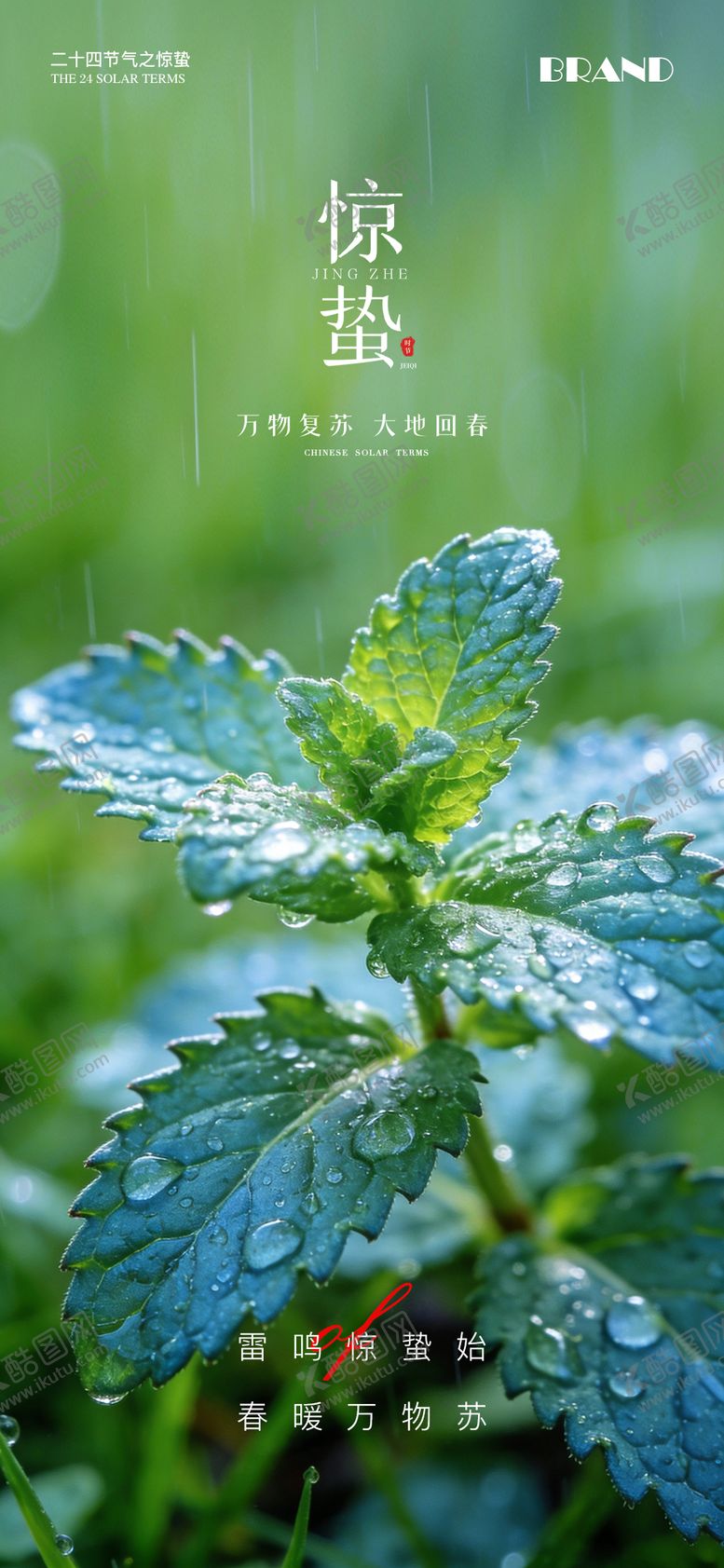 编号：97934703040210386336【酷图网】源文件下载-惊蛰节气海报
