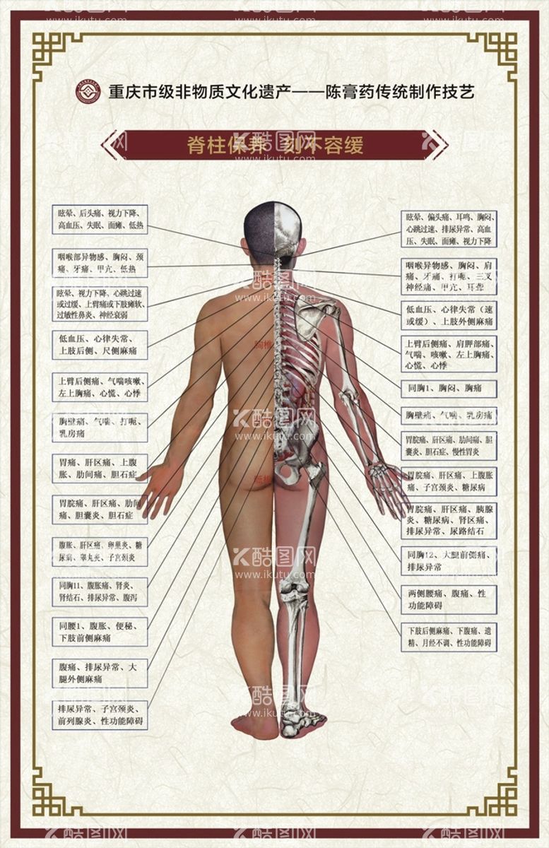 编号：33842912230144548628【酷图网】源文件下载-陈膏药 脊柱图