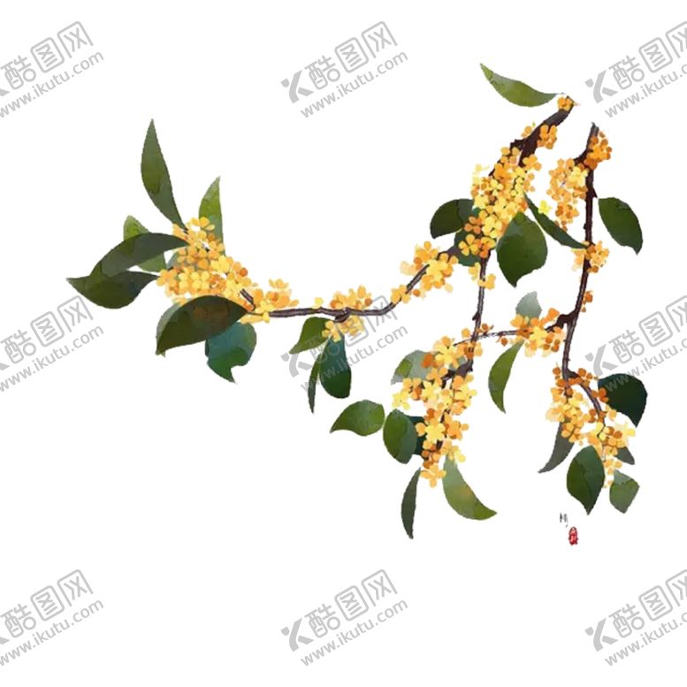 编号：14348604181852515074【酷图网】源文件下载-桂花