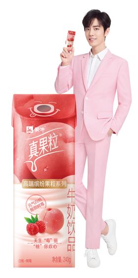 肖战人形立牌