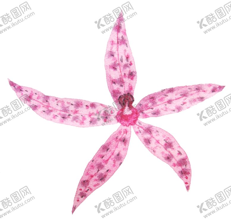 编号：15025910081530468556【酷图网】源文件下载-彩绘植物