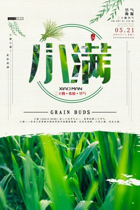 小满海报