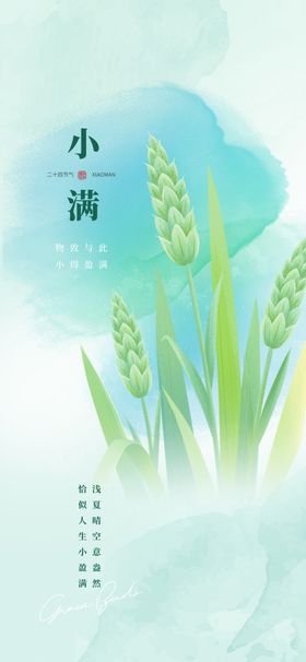 小满海报唯美清新微信麦子