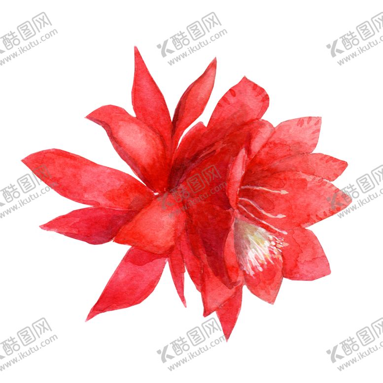 编号：46674709252153531265【酷图网】源文件下载-手绘花瓣