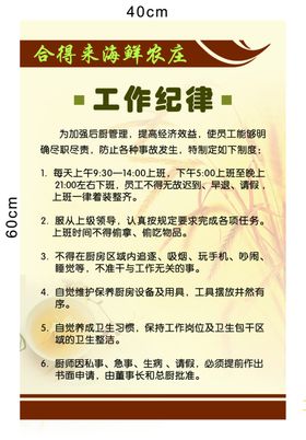 工作纪律