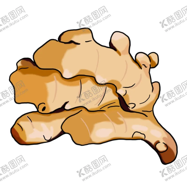 编号：64148512192130374069【酷图网】源文件下载-生姜插画素材
