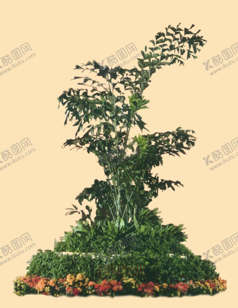 编号：61021510210102076670【酷图网】源文件下载-盆景