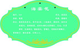 梅花海棠花粉色花朵