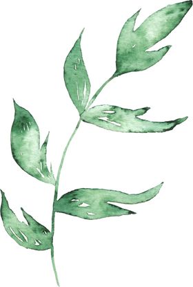 海报元素花草元素展架元素