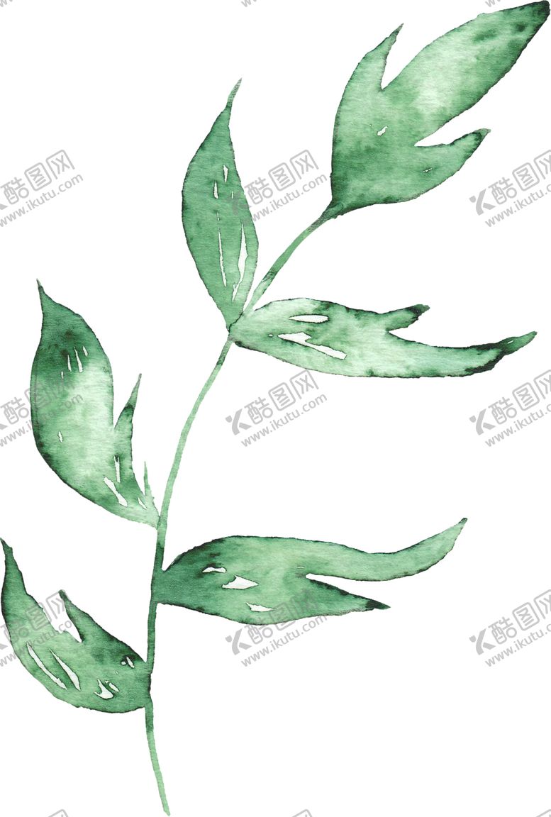 编号：63677505190533542191【酷图网】源文件下载-海报元素花草元素展架元素