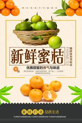 新鲜蜜桔宣传图