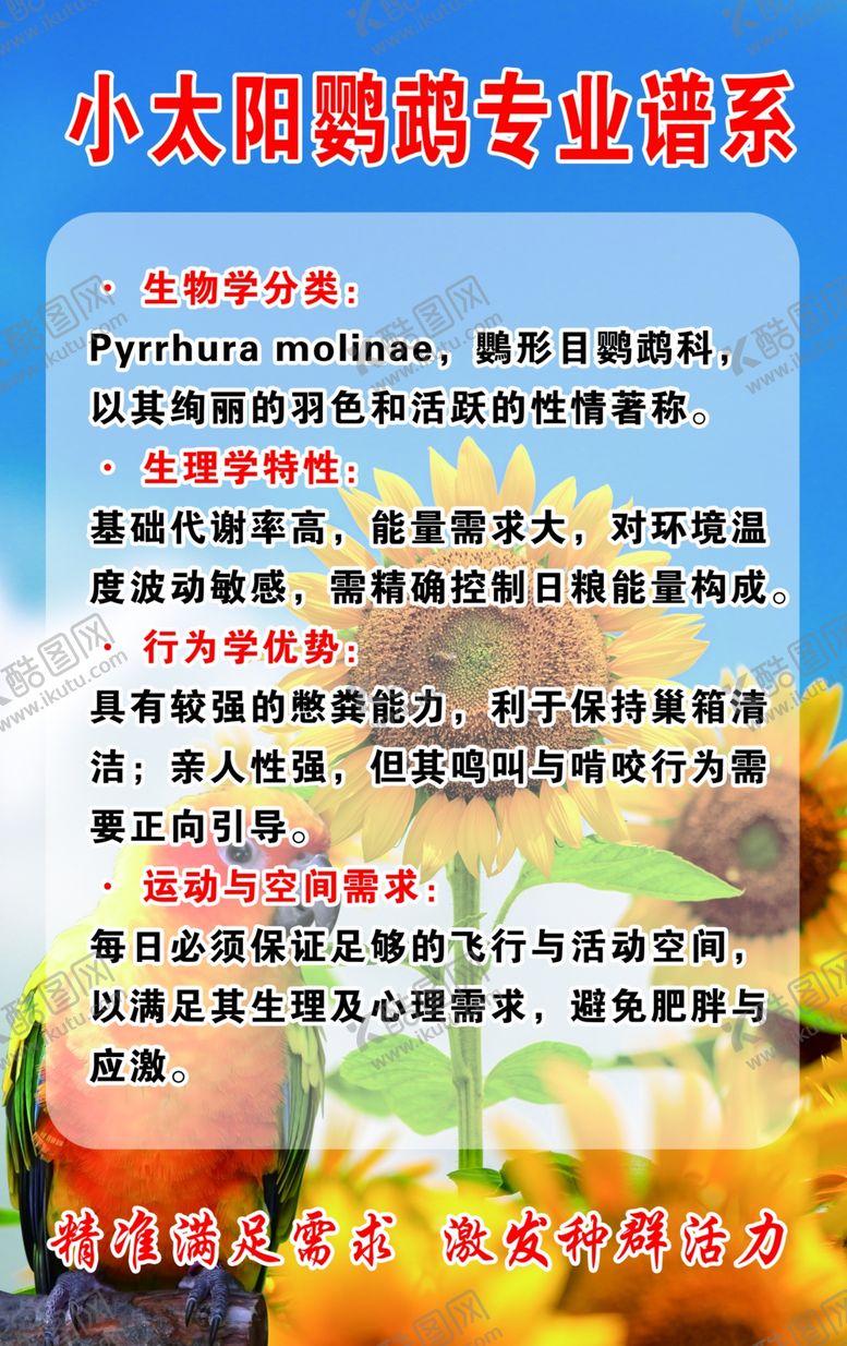 编号：18835804051938156957【酷图网】源文件下载-鹦鹉海报