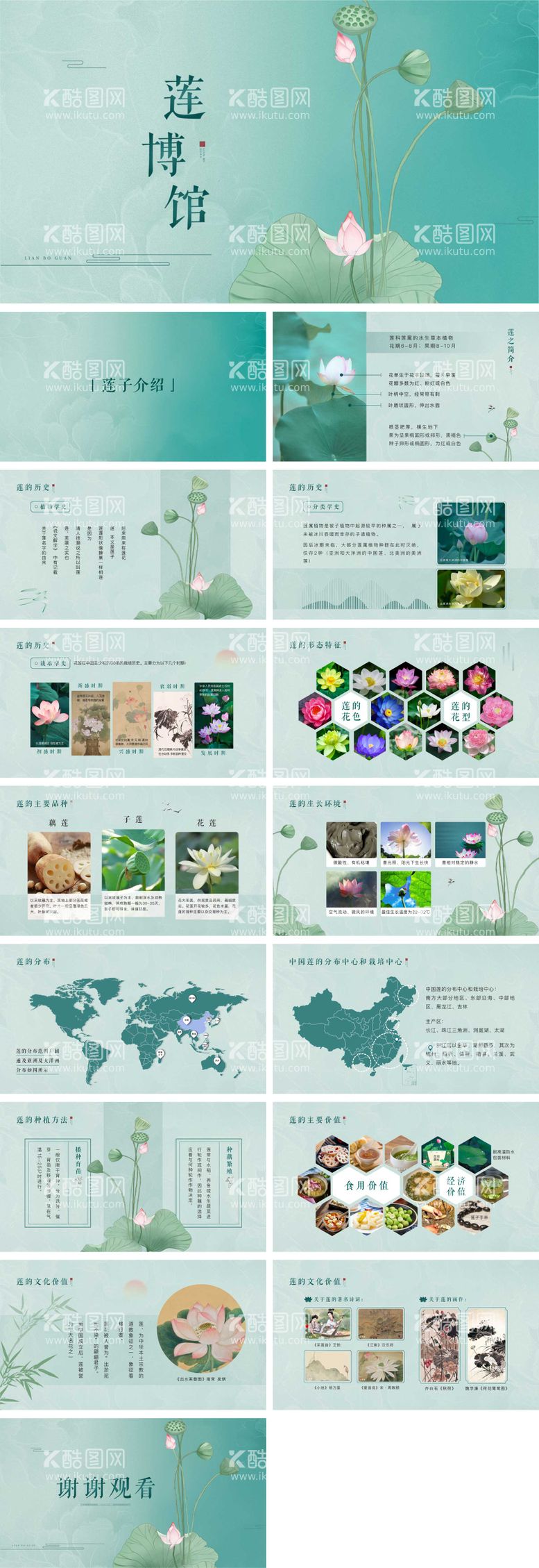 编号：56777611231915303426【酷图网】源文件下载-莲的古风荷花中医药材简介PPT