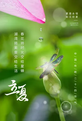 立夏地产展板传统节气
