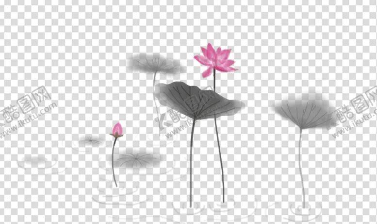 编号：30139911280239186019【酷图网】源文件下载-荷花 莲花 