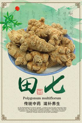 田七中药海报