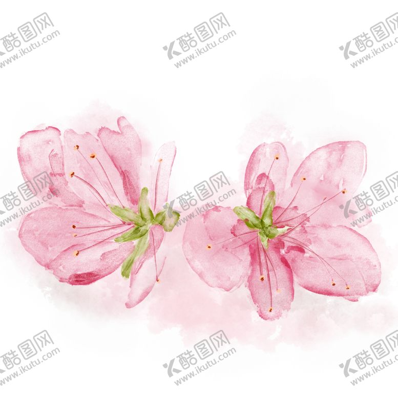 编号：49267012181700528884【酷图网】源文件下载-梅花桃花PNG 