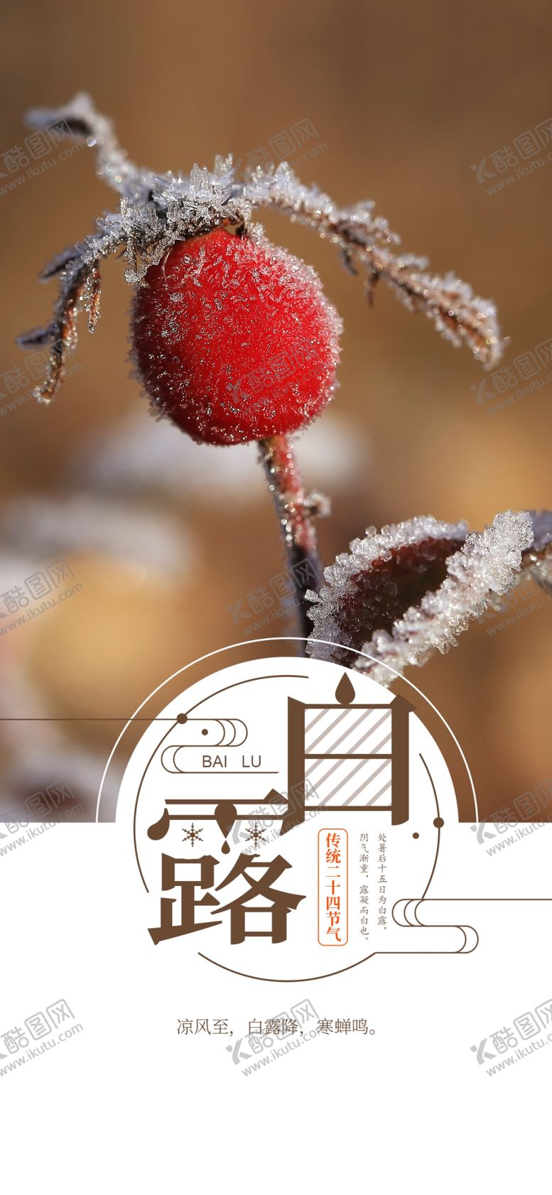 编号：49597010081314441270【酷图网】源文件下载-白露