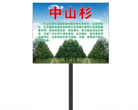 園林中山杉松綠化造型牌