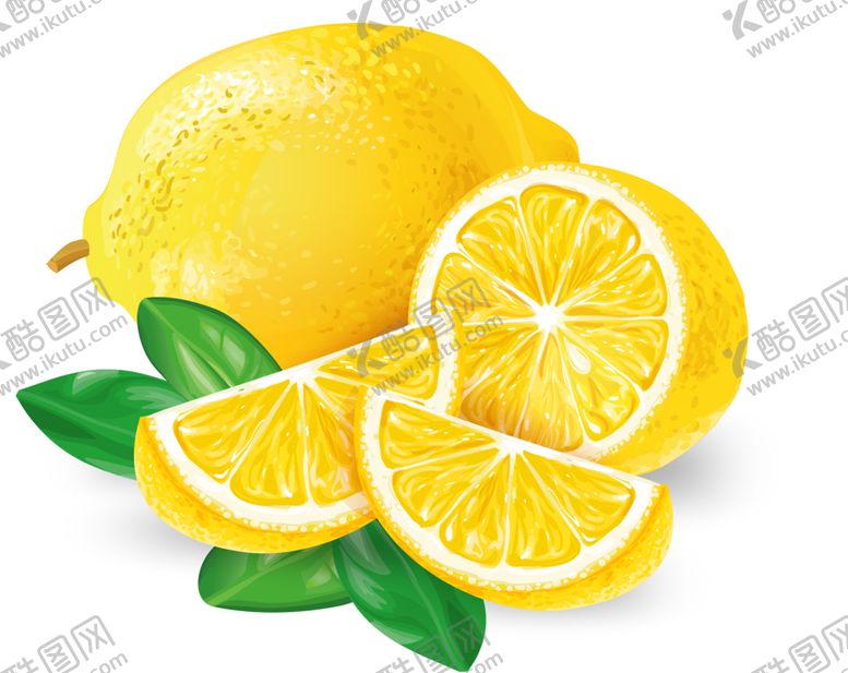 编号：52011109231109187372【酷图网】源文件下载-免抠手绘柠檬