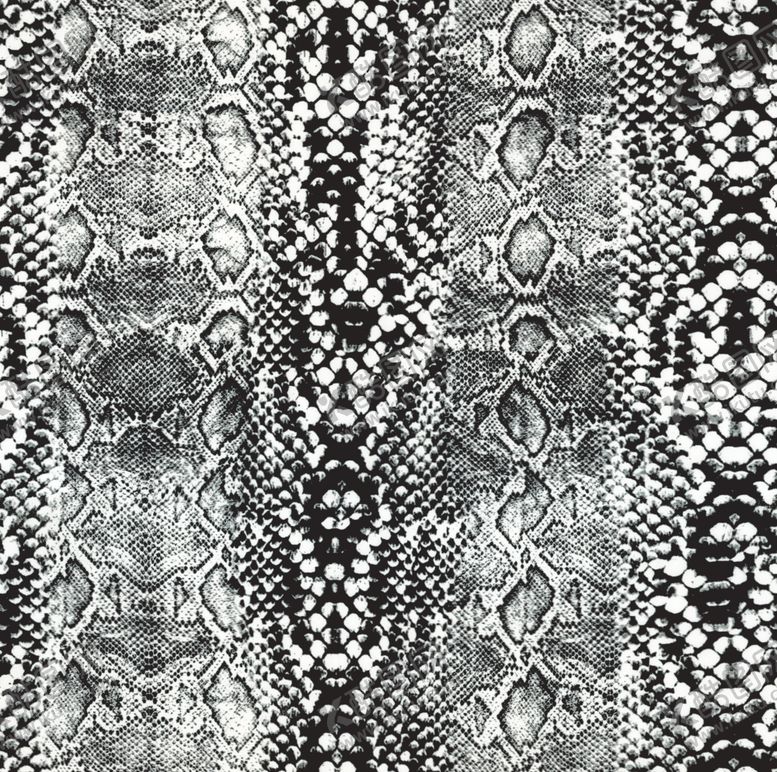 编号：94586209291021273047【酷图网】源文件下载-蛇纹