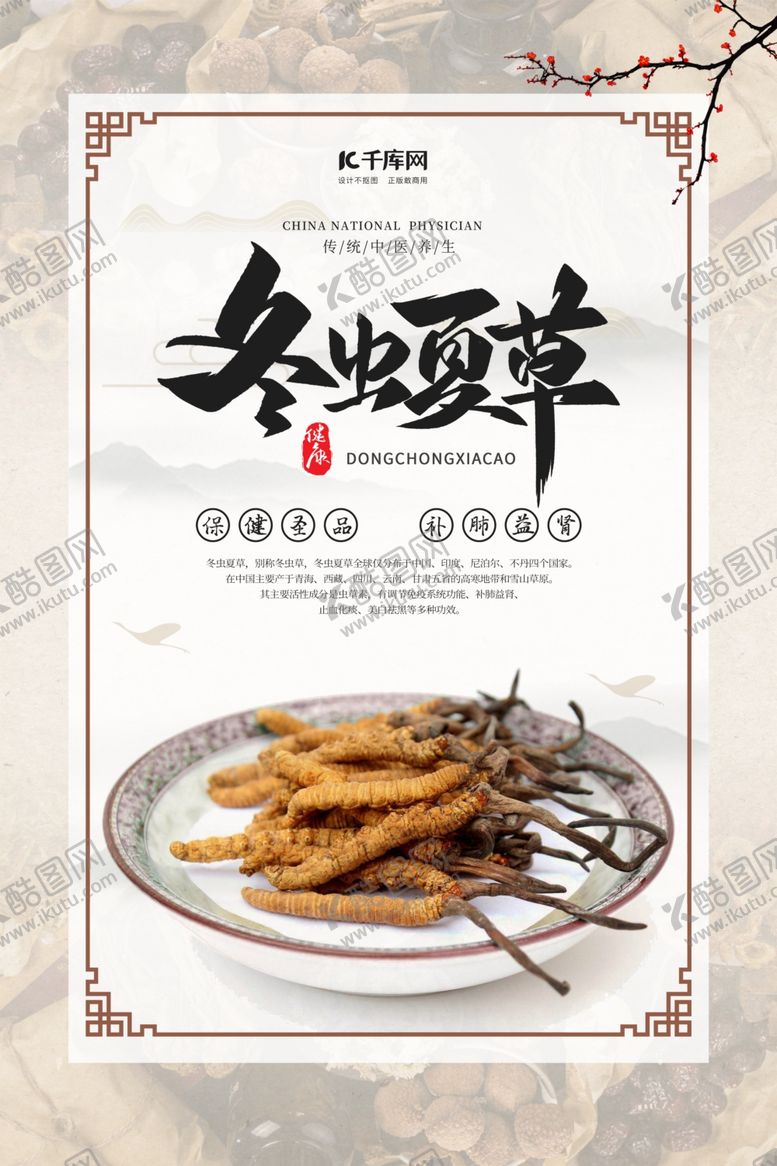 编号：35786206290850385887【酷图网】源文件下载-冬虫夏草白色中国风海报
