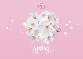 手绘花卉图片