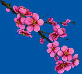 桃花