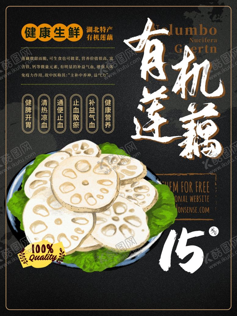 编号：78947609241103423481【酷图网】源文件下载-莲藕