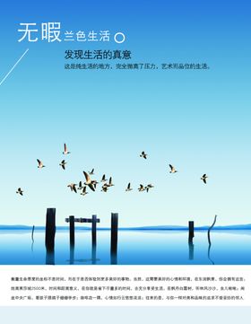 房地产高档宣传文案创意海边飞鸟