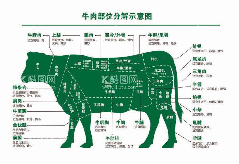 编号：31265512041952063528【酷图网】源文件下载-牛肉部位分解