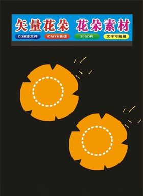花朵花草标本