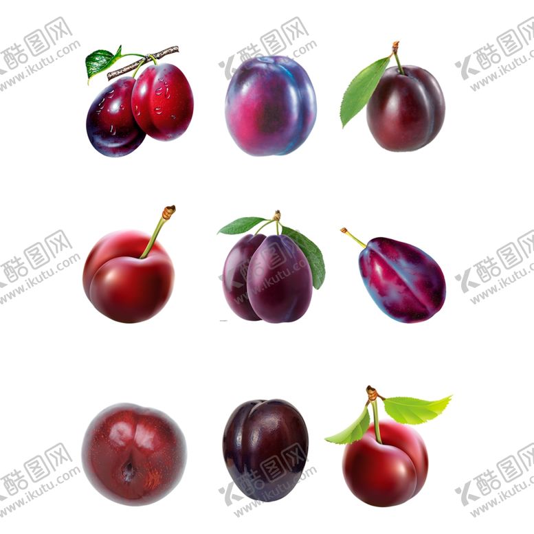 编号：79306710021919046674【酷图网】源文件下载-李子