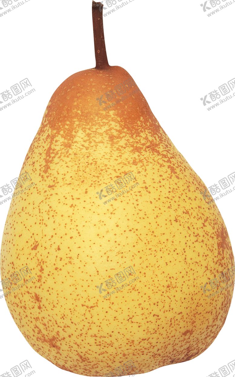 编号：31673210111930339139【酷图网】源文件下载-水果
