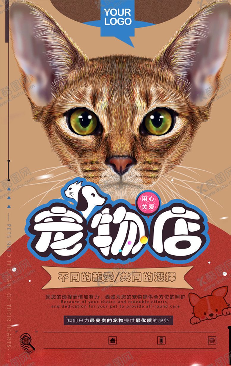 编号：25100506170750352230【酷图网】源文件下载-宠物海报