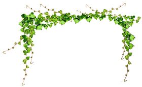 边框相框黑白花纹矢量花