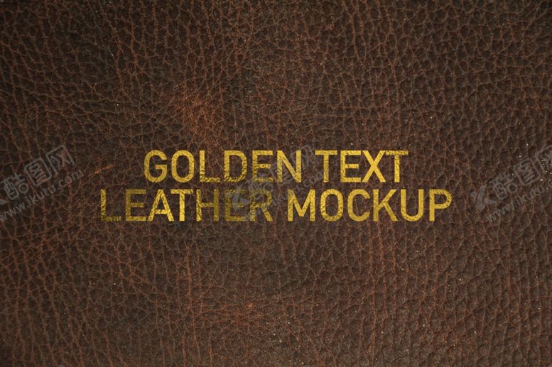 编号：58722411011316106619【酷图网】源文件下载-字体样式真皮背景烫金效果