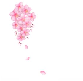 矢量花