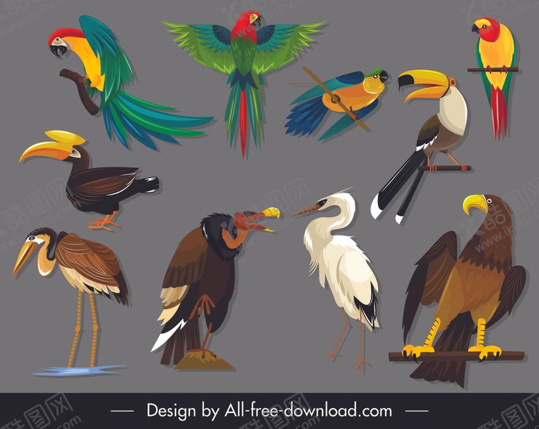 编号：77940010050038318750【酷图网】源文件下载-鸟类绘画