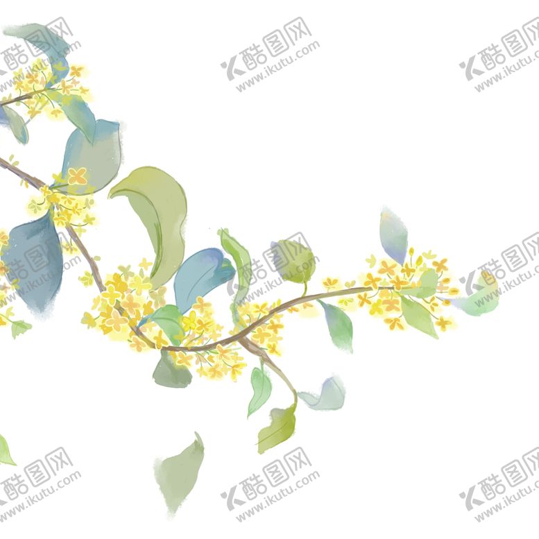 编号：70526702070352011434【酷图网】源文件下载-手绘桂花png免抠素材