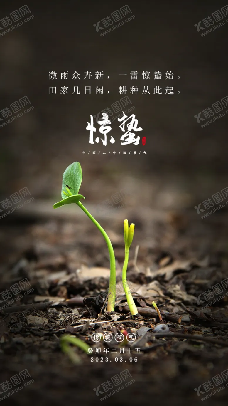 编号：67302509170419469183【酷图网】源文件下载-惊蛰海报