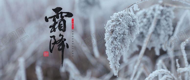 编号：34395405031641459196【酷图网】源文件下载-手机壁纸