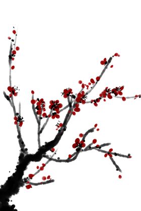 中国风水墨梅