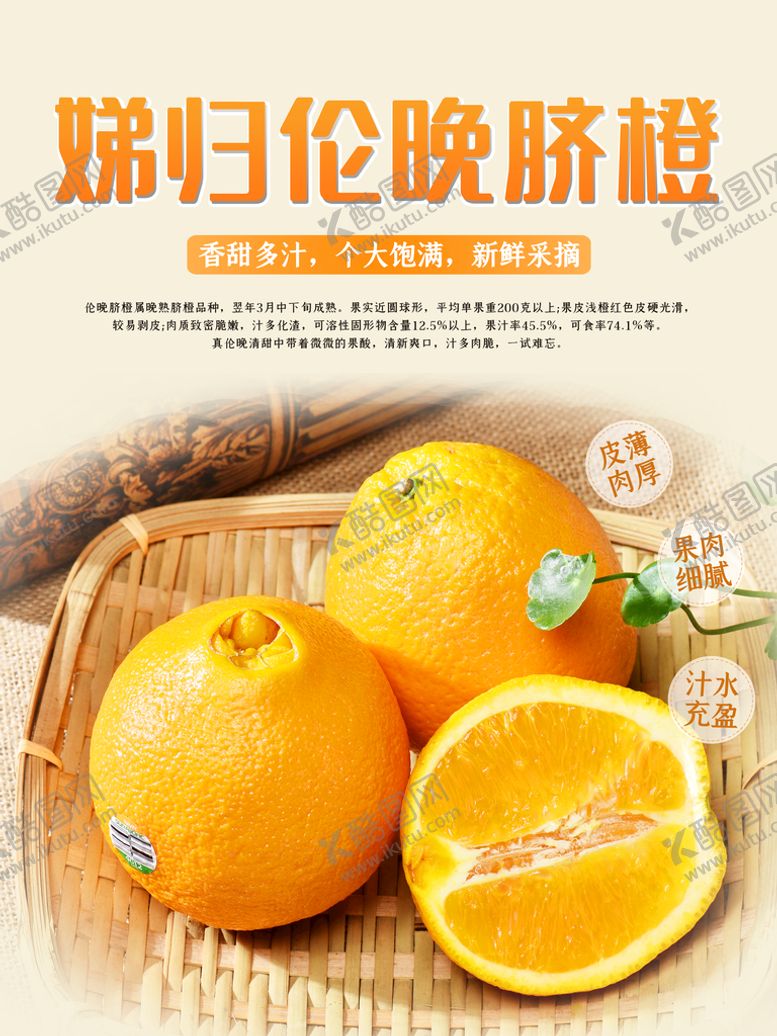 编号：46493010242319354033【酷图网】源文件下载-脐橙