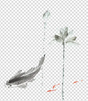 荷花莲花国风素材插画中国韵图片