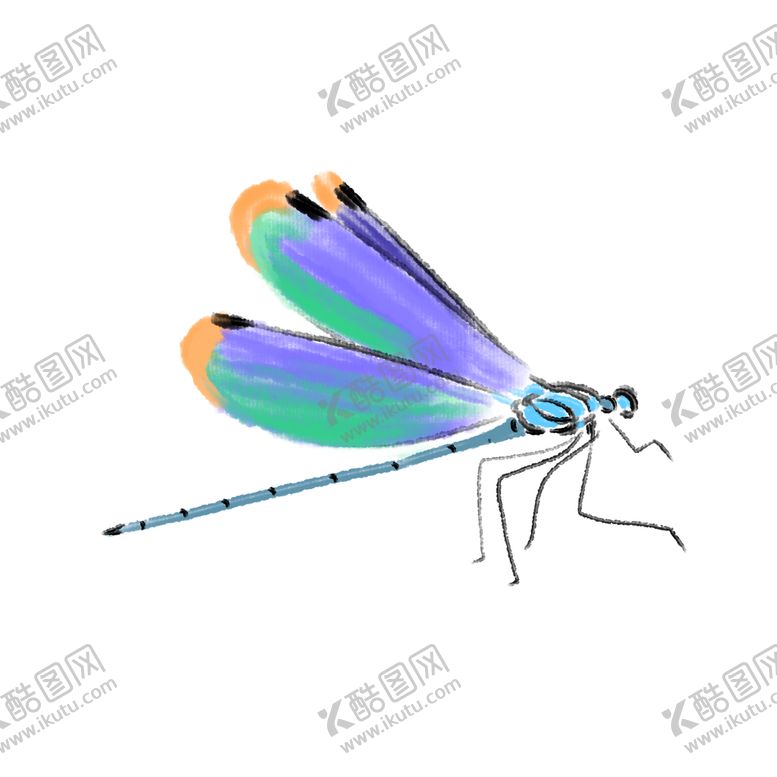 编号：13578409260018101637【酷图网】源文件下载-蜻蜓插画