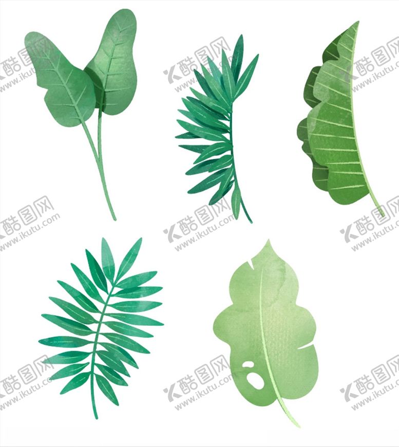 编号：98154006301551305054【酷图网】源文件下载-热带植物